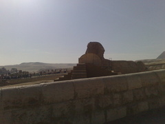 Esfinge - Sphinx