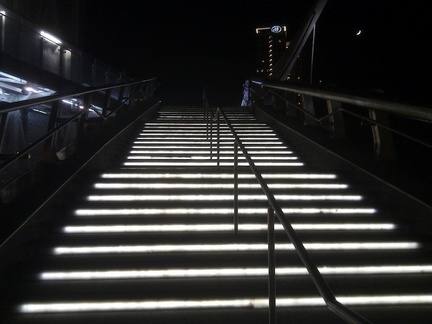 Stair bridges petco