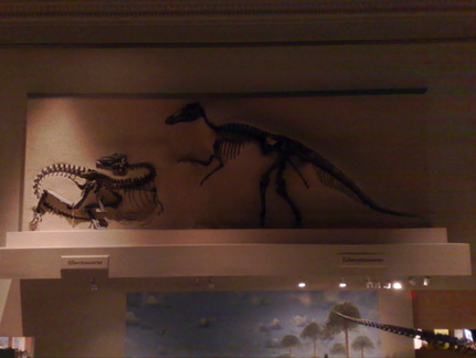 Dinosuarios
