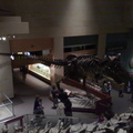 T-Rex (Tiranosaurio)